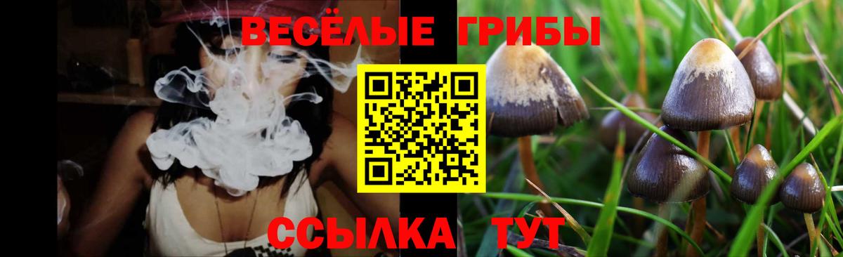 Галлюциногенные грибы Psilocybe  Галлюциногенные грибы Psilocybine cubensis  Вход с VPN  цены   Каменск-Шахтинский 